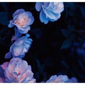 Meet your Posher, Rachael